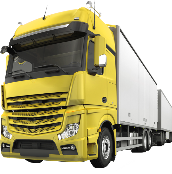 Lion Freight